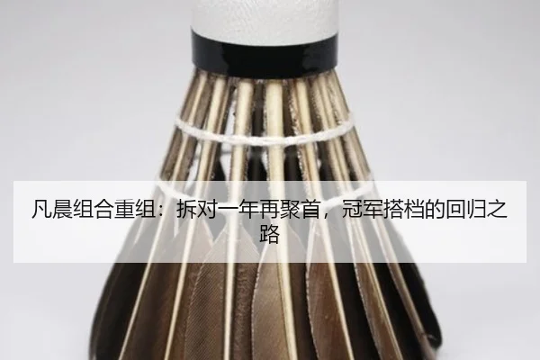 凡晨组合重组：拆对一年再聚首，冠军搭档的回归之路