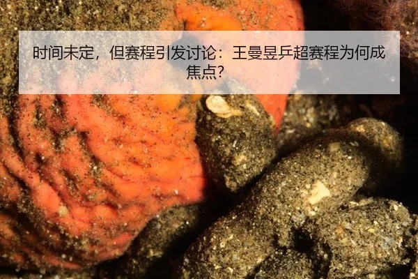 shi-jian-wei-ding-dan-sai-cheng-yin-fa-tao-lun-wang-man-yu-ping-chao-sai-cheng-wei-he-cheng-jiao-dian-2-588.jpg